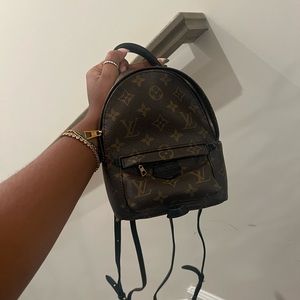 Louis Vuitton Palm Springs Mini Backpack
